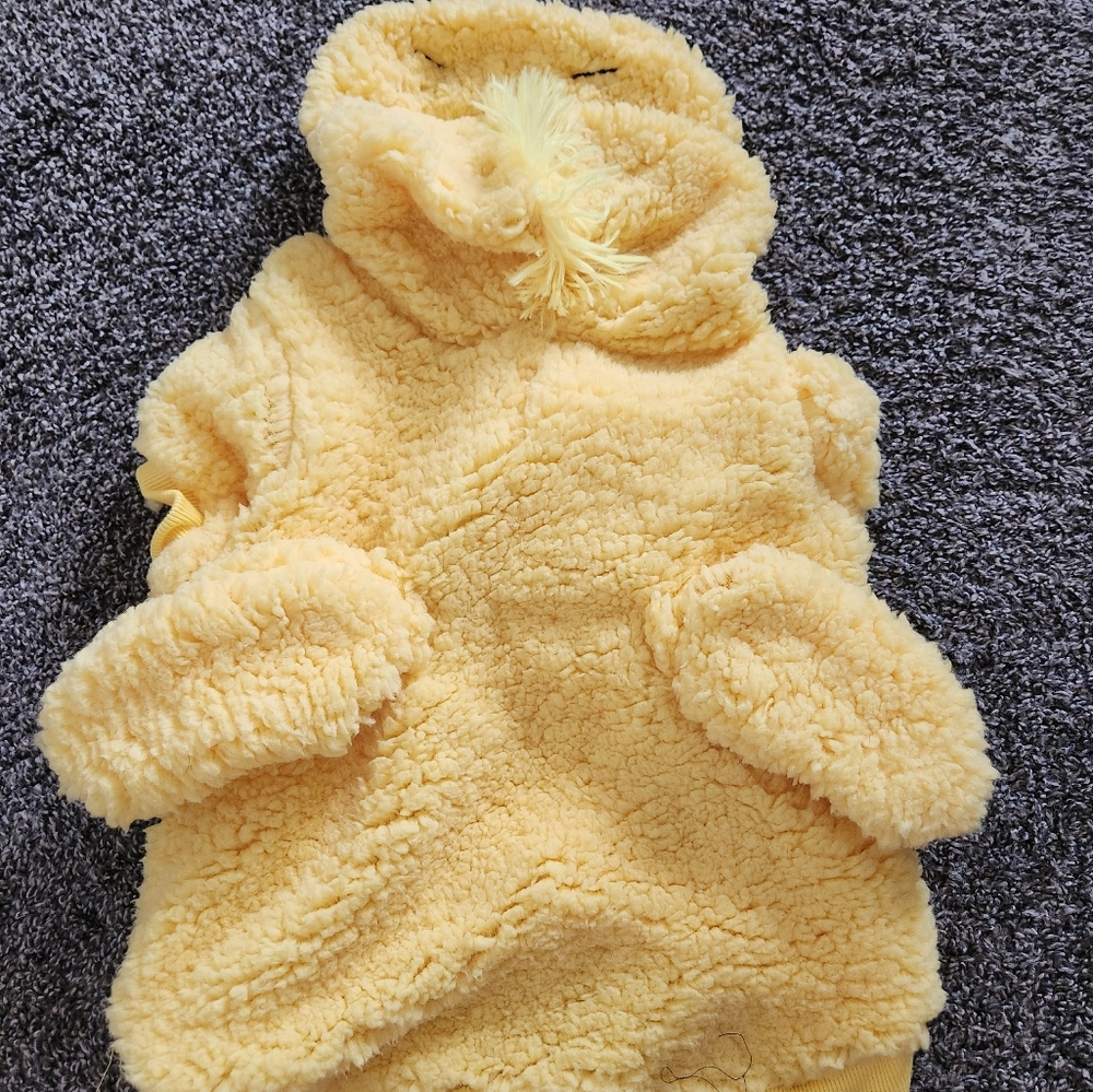 Peanuts Woodstock Pet Costume